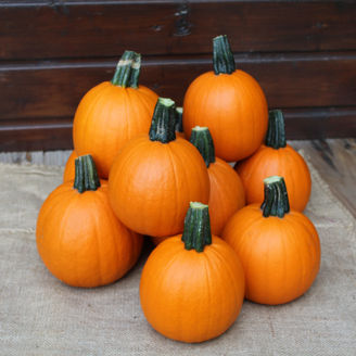 Picture of Halloweenpumpa AnnaBelle