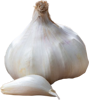 Picture of Vitlök Rustisem EKO