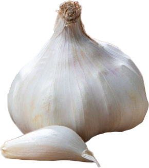 Picture of Vitlök Rustisem EKO