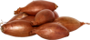 Picture of Longor - Schalottenlök sättlök EKO