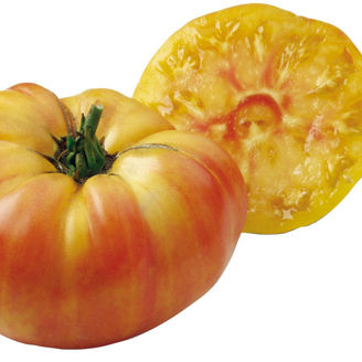 Picture of Ananas - EKO frö - KRAV
