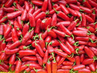 Picture of Jalapeno "Ruben" - EKO frö - KRAV
