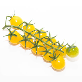 Picture of Tomat LemonTini F1 GSPP