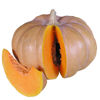 Picture of Pumpa Ibiza F1