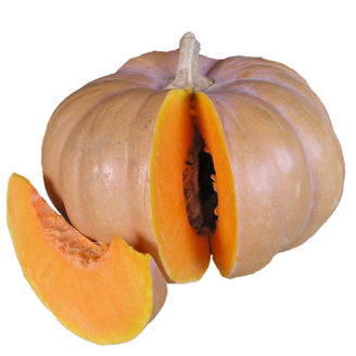 Picture of Pumpa Ibiza F1