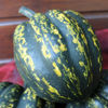Picture of Pumpa Starry Night F1