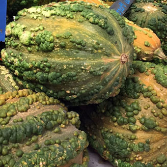 Picture of Pumpa Musquee du Maroc