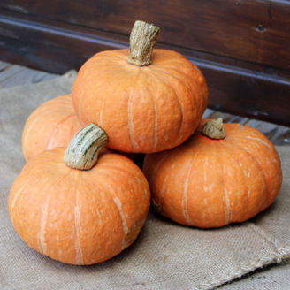 Picture of Pumpa Marmalade F1
