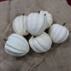 Picture of Pumpa White Pearl