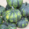 Picture of Pumpa Phantomita F1