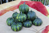 Picture of Pumpa Phantomita F1