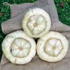 Picture of Pumpa White Turban