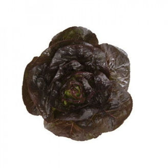 Picture of Romansallat Alaine