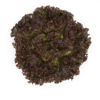 Picture of Bataviasallat Mineral RZ - EKO