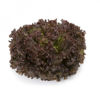 Picture of Bataviasallat Mineral RZ - EKO