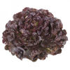 Picture of Ekbladssallat Macai RZ