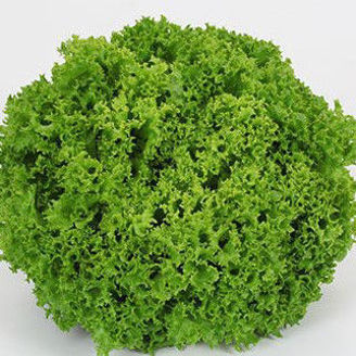 Picture of Lollo bionda Linaro RZ