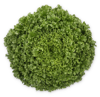 Picture of Kristallsallat Hydrolique RZ
