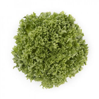 Picture of Kristallsallat Lalique RZ