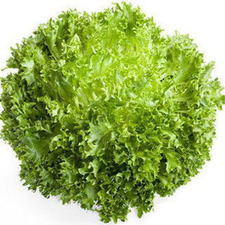 Picture of Krispsalanova Exact RZ