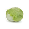 Picture of Isbergssallat Balokanas RZ Knox ™