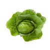 Picture of Crunchitasallat Chicarita RZ