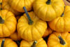 Picture of Pumpa Yellow Jacket F1