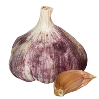 Picture of Vitlök Germidour