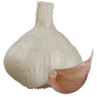 Picture of Vitlök Flavor