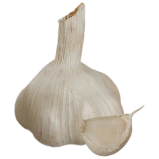 Picture of Vitlök Sabadrome